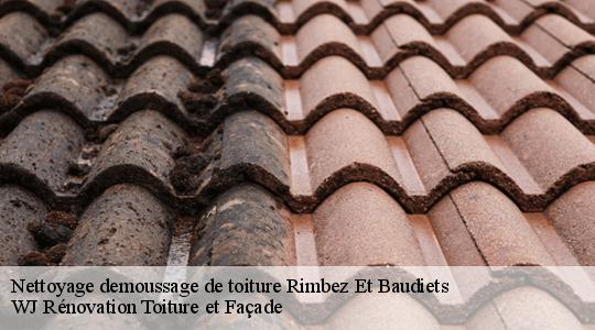 Nettoyage demoussage de toiture  rimbez-et-baudiets-40310 WJ Rénovation Toiture et Façade
