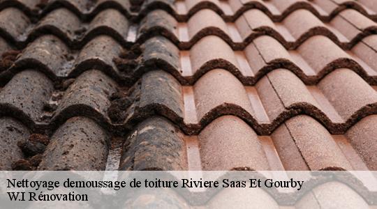 Nettoyage demoussage de toiture  riviere-saas-et-gourby-40180 W.I Rénovation