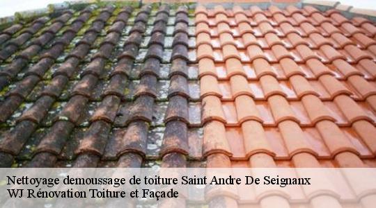 Nettoyage demoussage de toiture 40390