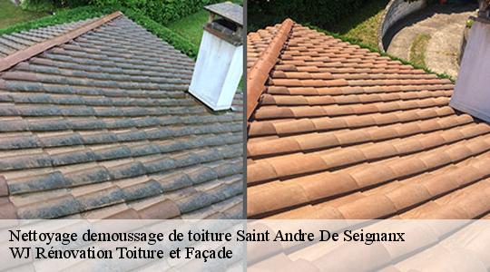 Nettoyage demoussage de toiture 40390