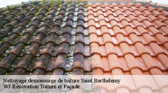 Nettoyage demoussage de toiture 40390