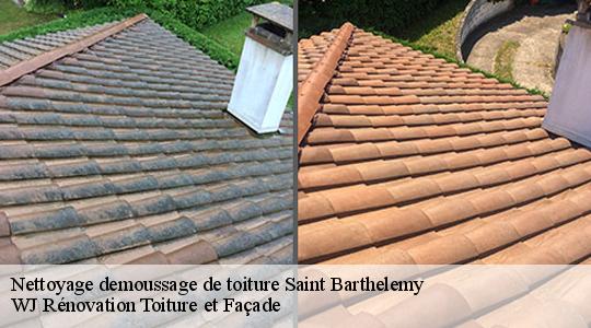Nettoyage demoussage de toiture 40390
