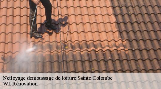 Nettoyage demoussage de toiture  40700