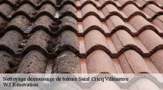 Nettoyage demoussage de toiture  saint-cricq-villeneuve-40190 W.I Rénovation