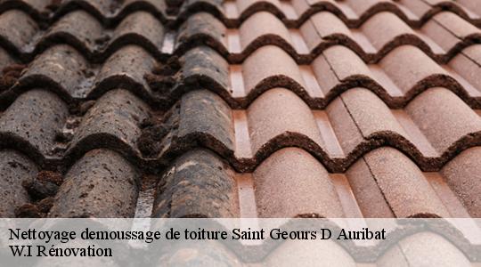 Nettoyage demoussage de toiture  saint-geours-d-auribat-40380 W.I Rénovation
