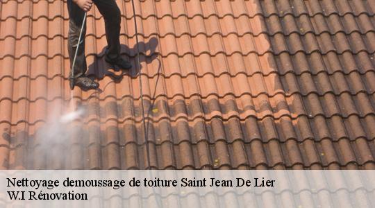 Nettoyage demoussage de toiture  40380