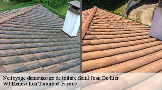 Nettoyage demoussage de toiture 40380