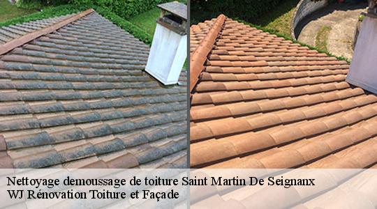 Nettoyage demoussage de toiture 40390