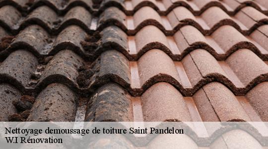 Nettoyage demoussage de toiture  saint-pandelon-40180 W.I Rénovation
