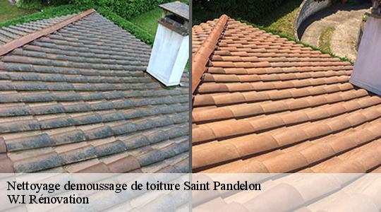 Nettoyage demoussage de toiture  40180