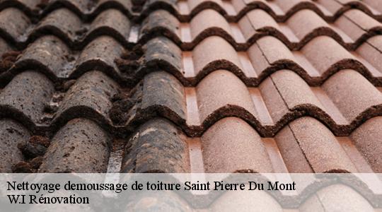 Nettoyage demoussage de toiture  saint-pierre-du-mont-40280 W.I Rénovation