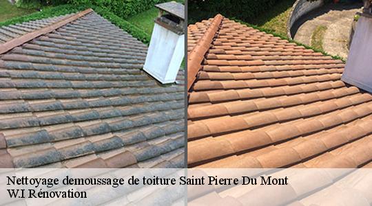 Nettoyage demoussage de toiture  40280