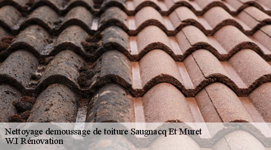 Nettoyage demoussage de toiture  saugnacq-et-muret-40410 W.I Rénovation