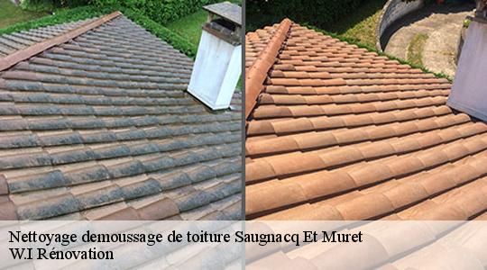 Nettoyage demoussage de toiture  40410