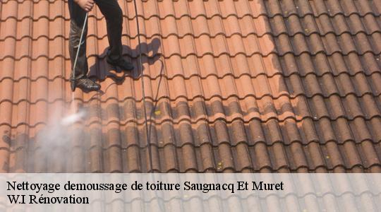 Nettoyage demoussage de toiture  40410