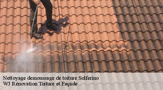 Nettoyage demoussage de toiture  40210