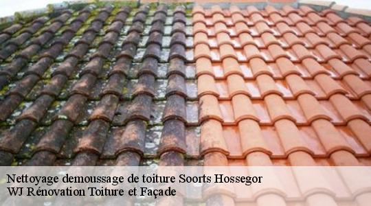 Nettoyage demoussage de toiture 40150