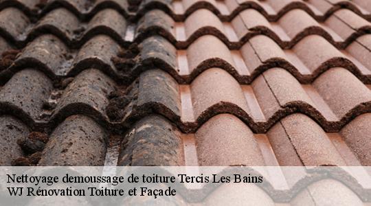 Nettoyage demoussage de toiture tercis-les-bains-40180 WJ Rénovation Toiture et Façade