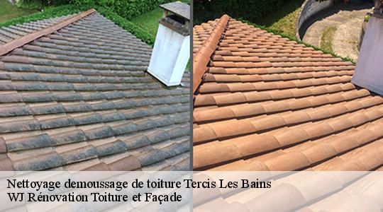 Nettoyage demoussage de toiture 40180
