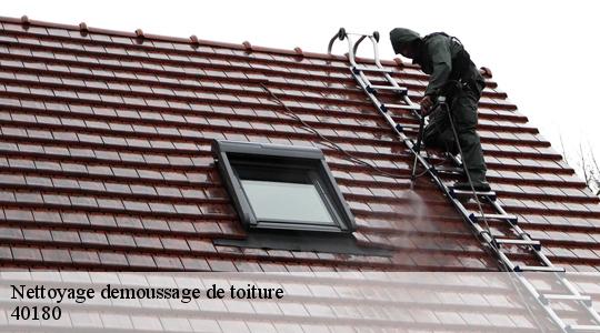 Nettoyage demoussage de toiture 40180