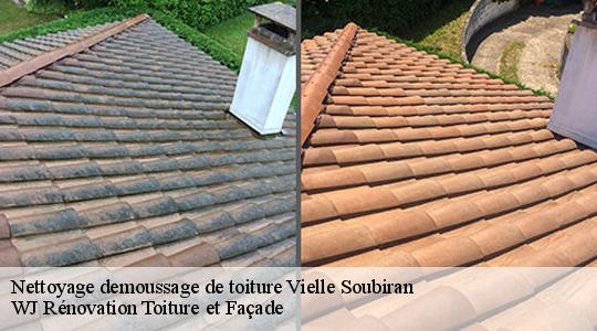 Nettoyage demoussage de toiture 40240