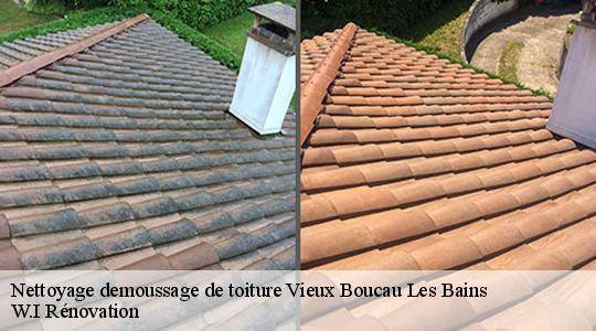 Nettoyage demoussage de toiture  40480