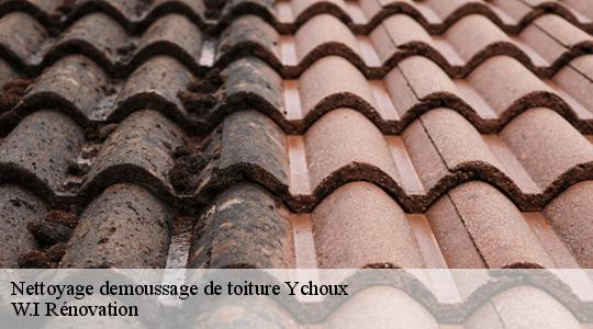 Nettoyage demoussage de toiture  ychoux-40160 W.I Rénovation