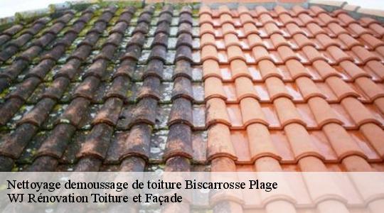 Nettoyage demoussage de toiture 40600
